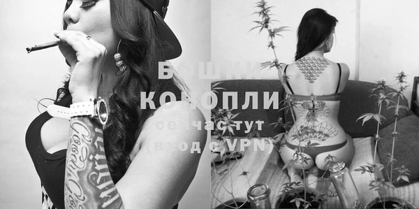 спайс Абаза