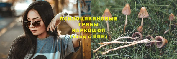 спайс Абаза