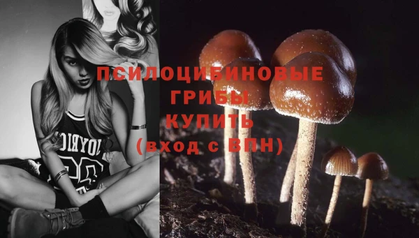 спайс Абаза